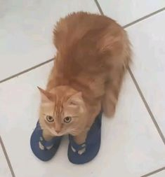 Môj život